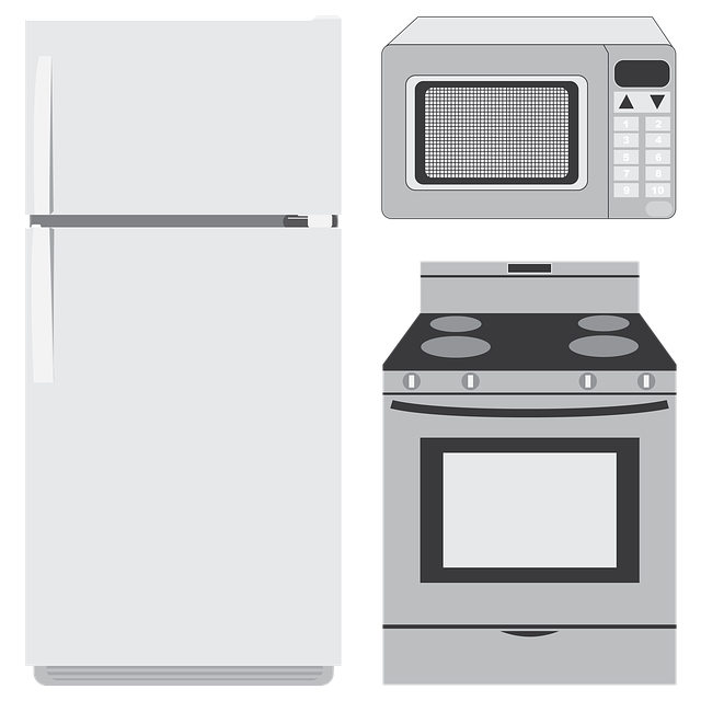 domestic appliance repair